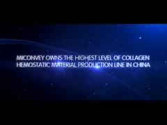 MICONVEY Şirket Tanıtımı